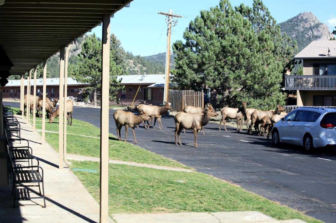 Quality Inn Near Rocky Mountain National Park Estes Park Extérieur photo