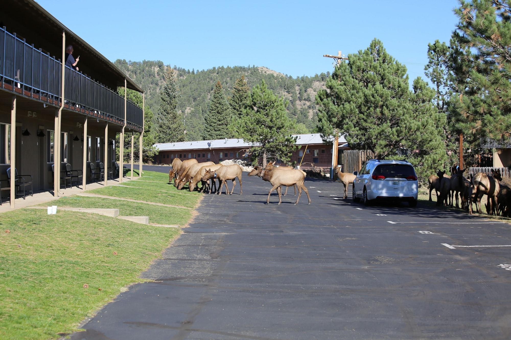 Quality Inn Near Rocky Mountain National Park Estes Park Extérieur photo